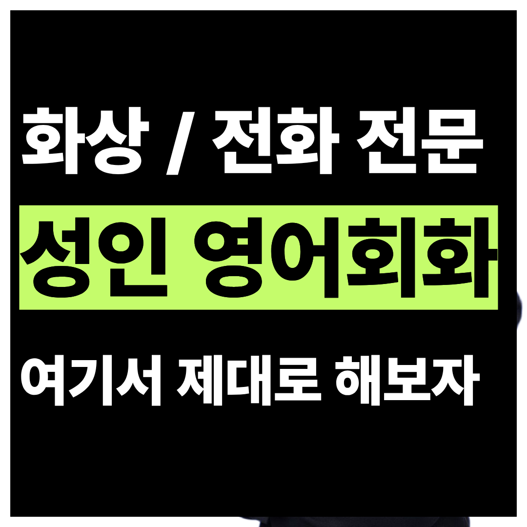 광주 광산구 선운동 시니어 원어민영어 화상과외 4